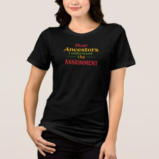 Camiseta Queridos Ancestrais, Eu Entendo a Tarefa