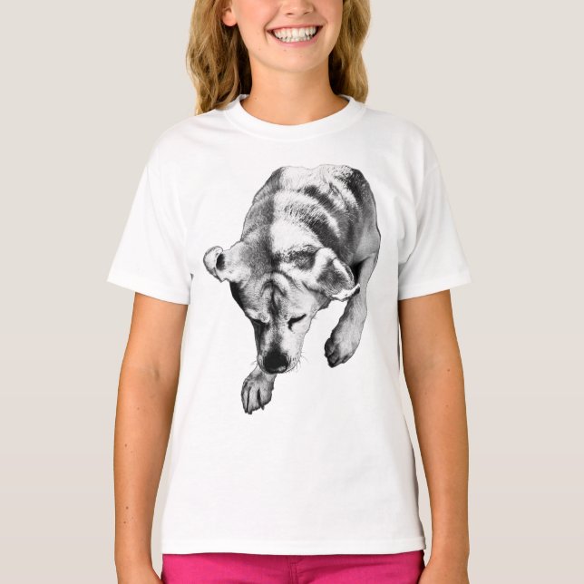 Camiseta Quiet Arc - Overhead Labrador (Frente)
