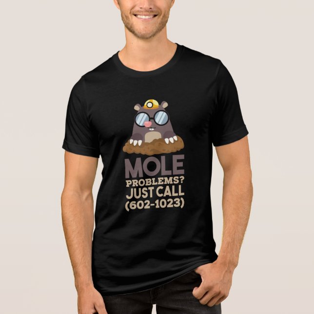 Camiseta Química - Problemas de Mol (Frente)