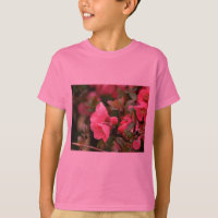 Quince Cor-de-Rosa na Primavera