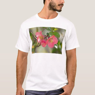 Camiseta Quince Florescendo Rosa