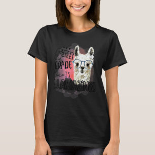 Camiseta Quinto Professor de Llama Llamazing da 5ª Série