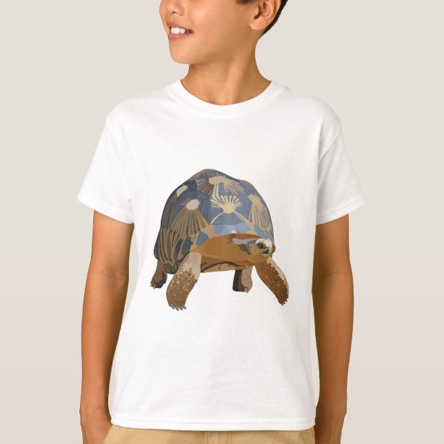 Camiseta R é para a tartaruga radiada (Frente)