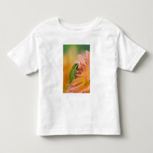 Camiseta Rã-arbórea do Pacífico em flores no nosso jardim,