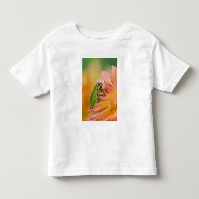 Camiseta Rã-arbórea do Pacífico em flores no nosso jardim,  (Frente)