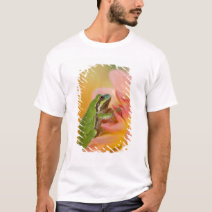 Camiseta Rã-arbórea-do-pacífico em flores no nosso jardim, 