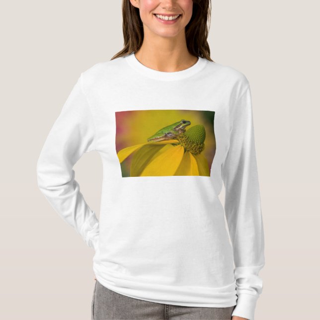 Camiseta Rã-arbórea-do-pacífico em flores no nosso jardim (Frente)