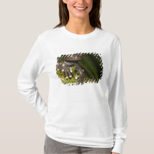 Camiseta Rã-árvore Cativa Tapichalaca Hyloscirtus 3
