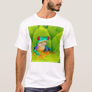 Camiseta Rã de olhos vermelhos, Costa Rica