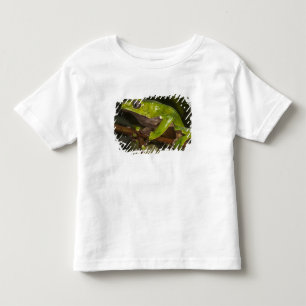 Camiseta Rã-folha-gigante (Phyllomedusa bicolor) 3