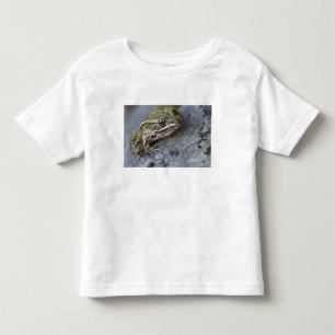 Camiseta Rã-leopardo-do-norte, Ilha Transparente,