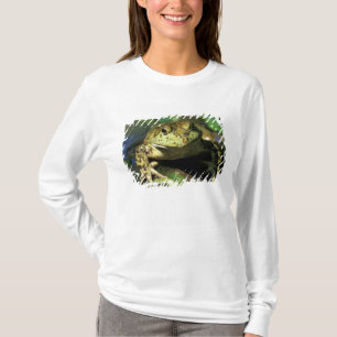 Camiseta Rã-touro.