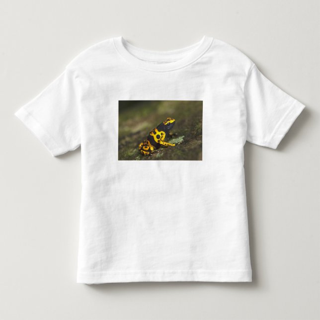 Camiseta Rã-venenosa-de-banda-amarela Dendrobates (Frente)