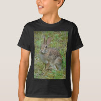 Rabbit selvagem Roupa e presentes de cauda de algo