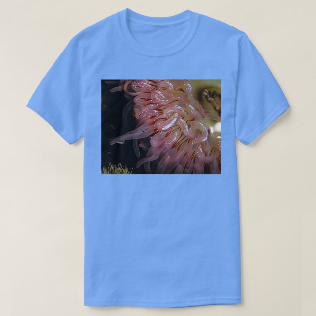 Camiseta rabugento (Frente do Design)