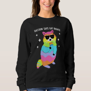 Camiseta Raccoon diz Orgulho dos Direitos Gay LGBT