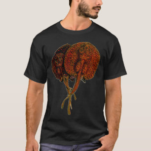 Camiseta Raia Stingray Potamotrygon Peixe Monstro