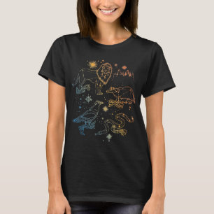 Camiseta Rainbow HOGWARTS™ Casas Constelações