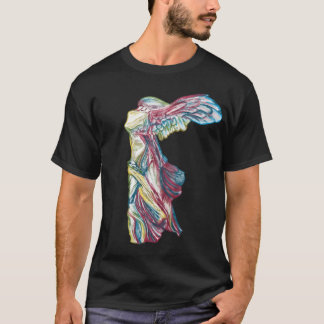 Camiseta Rainbow Nike da Escultura da Samotrácia - História