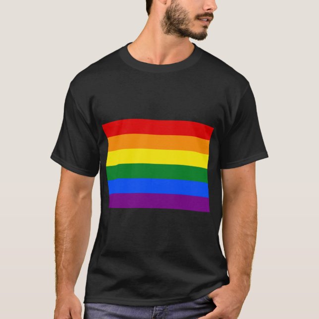 Camiseta Rainbow Pride  funny (Frente)