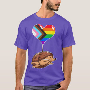 Camiseta Rainbow Progress Hedgehog Identidade visual Nonbin