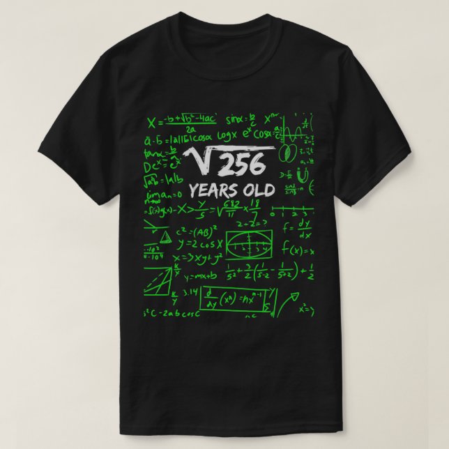 Camiseta Raiz Quadrada de 256 16º Aniversário 16 Anos Gif (Frente do Design)