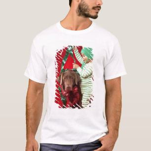 Camiseta Rapaz pequeno que decora um cão