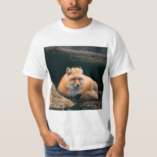 Camiseta Raposa Vermelha Dormindo