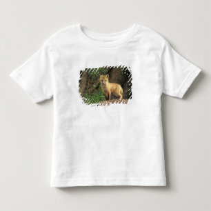 Camiseta Raposa vermelha jovem em frente à toca (Vulpes vul