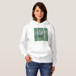 Camiseta Raposa vermelha no parque de milhares de carvalhos