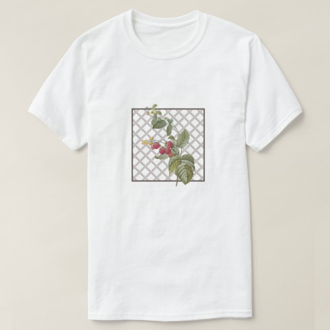 CAMISETA RASPBERRIES (Frente do Design)