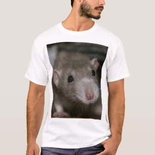Camiseta Rato curioso