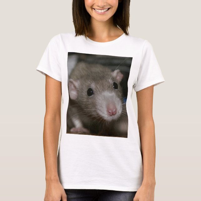 Camiseta Rato curioso (Frente)