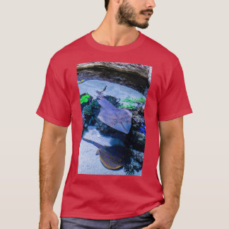 Camiseta Rays no AWQA