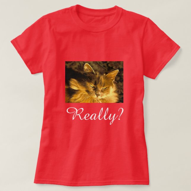Camiseta Realmente (Frente do Design)