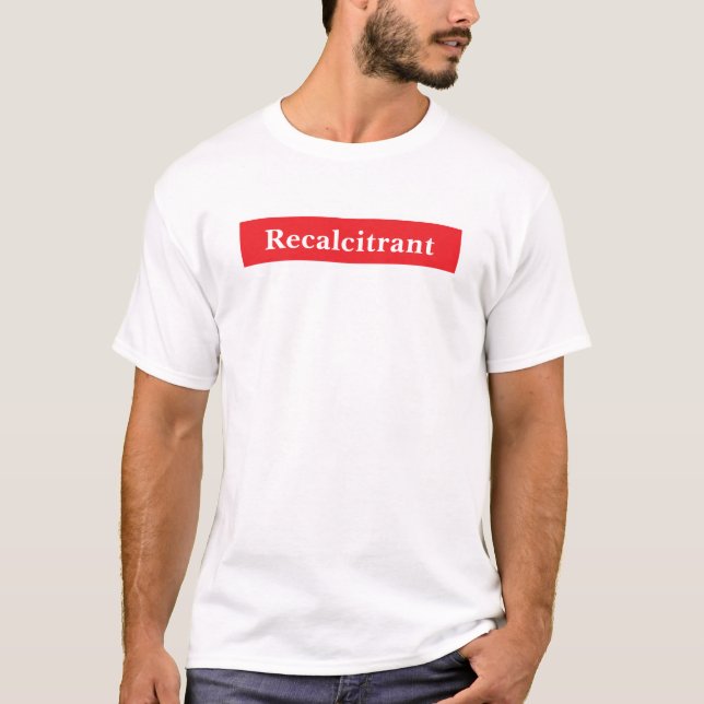 Camiseta Recalcitrante (Frente)