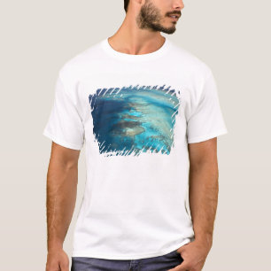Camiseta Recife Arlington, Parque Marinho da Grande Barreir
