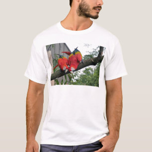Camiseta Red Macaws 1.JPG