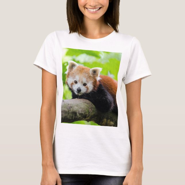 Camiseta Red Panda (Frente)