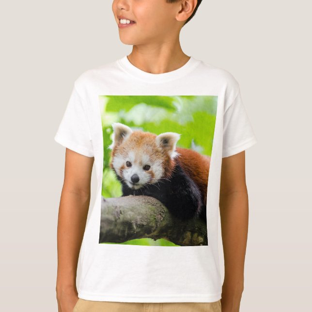 Camiseta Red Panda (Frente)