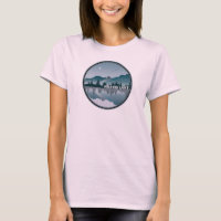 Reflexo do Lago Harris Carolina do Norte