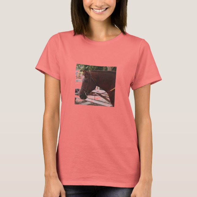 Camiseta Reforma Sassy T (Frente)