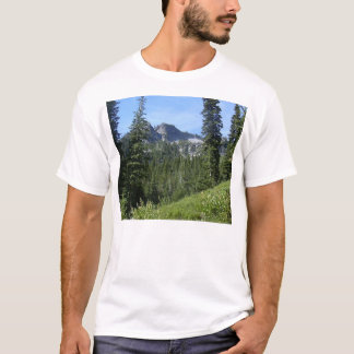 Camiseta Região selvagem 04 do boné de Eagle
