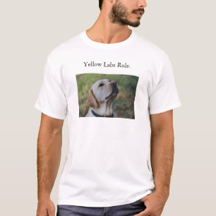 Camiseta Regra amarela dos laboratórios