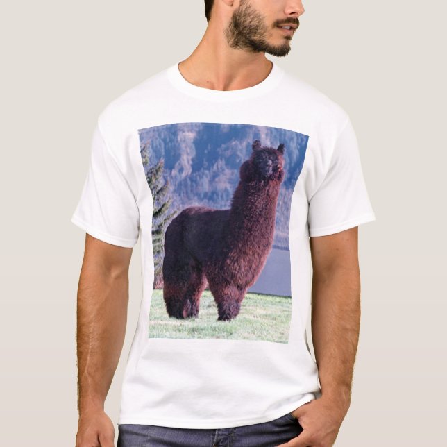 Camiseta regra das alpacas (Frente)