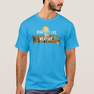 Camiseta Regulador nº 1