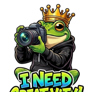 Camiseta Rei Sapo da Fotografia - Preciso de Criatividade