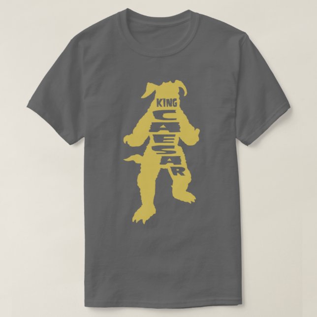 CAMISETA REI TEXTO DO CAESAR SILO 1 (Frente do Design)