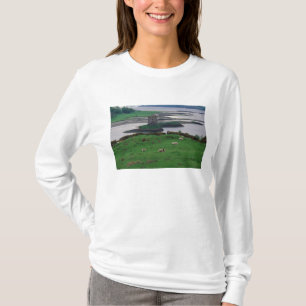 Camiseta Reino Unido, Escócia, Ilha de Skye, velho