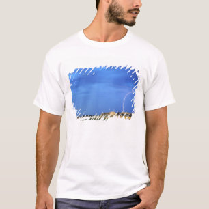 Camiseta Relâmpagos atingem as Colinas Wildcat perto